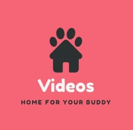 Video Abg Bokep-indo