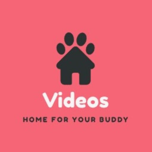 Video Sd Bokep-indo